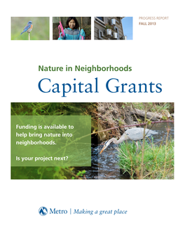 Capital Grants