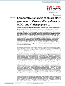 Comparative Analysis of Chloroplast Genomes in Vasconcellea Pubescens A.DC