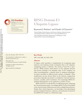 RING Domain E3 Ubiquitin Ligases