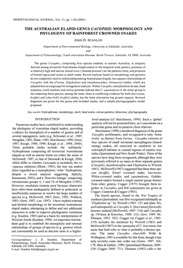 The Australian Elapid Genus Ca Co Phis: Morphology And