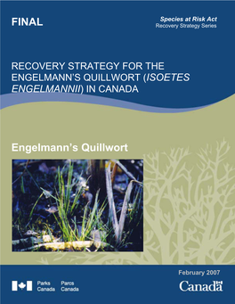 Recovery Strategy for the Engelmann's Quillwort (Isoetes Engelmannii) in Canada [Final]