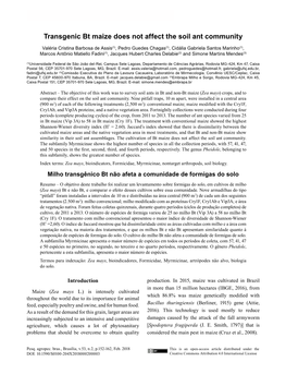 Transgenic Bt Maize Does Not Affect the Soil Ant Community