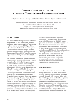 Laricobium Osakensis, a Hemlock Woolly Adelgid Predator from Japan