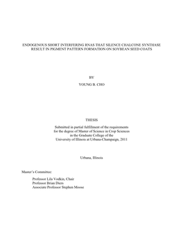 Endogenous Short Interfering Rnas That Silence Chalcone Synthase Result in Pigment Pattern Formation on Soybean Seed Coats