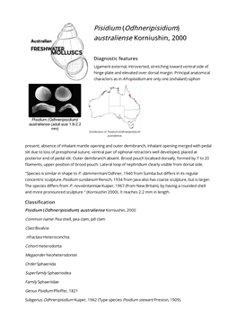 Pisidium (Odhneripisidium) Australiense Korniushin, 2000