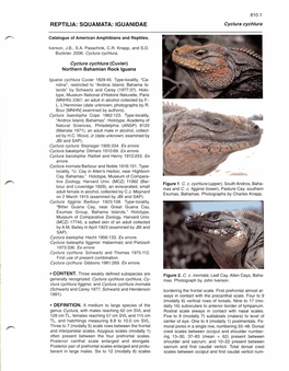 REPTILIA: SQUAMATA: IGUANIDAE Cyclura Cychlura