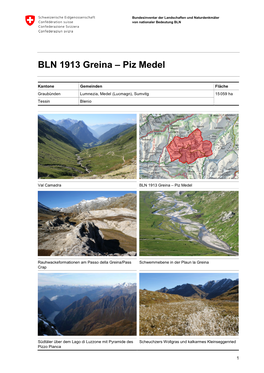 BLN 1913 Greina – Piz Medel