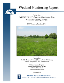 Wetland Monitoring Report