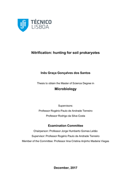 Nitrification: Hunting for Soil Prokaryotes Microbiology