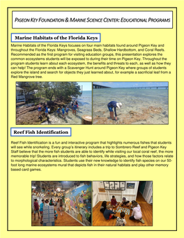 Pigeon Key Foundation &Marine Science Center:Educational Programs