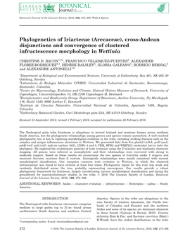 Arecaceae), Cross-Andean Disjunctions and Convergence of Clustered Infructescence Morphology in Wettinia