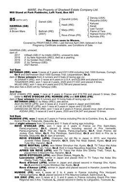 MARE, the Property of Shadwell Estate Company Ltd. Will Stand at Park Paddocks, Left Yard, Box 601