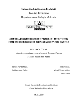 Stability, Placement and Interactions of the Divisome Components in Nucleoid-Deprived Escherichia Coli Cells