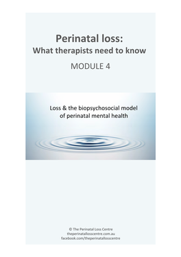 Loss & the Biopsychosocial Model of Perinatal Mental Health