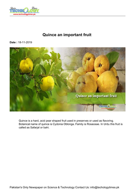 Quince an Important Fruit