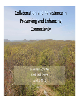 Collaboration and Persistence in Preserving and Enhancing Connectivity