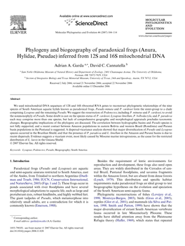 (Anura, Hylidae, Pseudae) Inferred from 12S and 16S Mitochondrial DNA