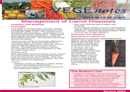 Management of Carrot Diseases Common Post-Harvest Diseases the ﬁ Eld Before Harvest