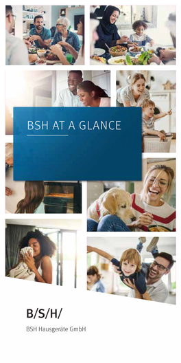 BSH at a Glance 2021