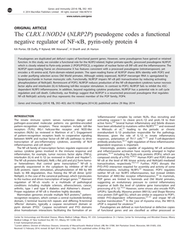 The CLRX.1&Sol;NOD24 (NLRP2P) Pseudogene Codes a Functional