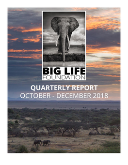 Blf Quarterly Report