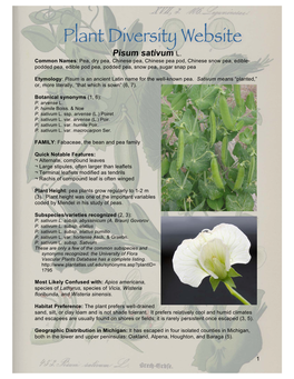 Pisum Sativum L. Common Names: Pea, Dry Pea, Chinese Pea, Chinese Pea Pod, Chinese Snow Pea, Edible- Podded Pea, Edible Pod Pea, Podded Pea, Snow Pea, Sugar Snap Pea