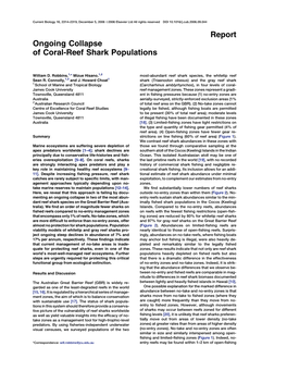 Report Ongoing Collapse of Coral-Reef Shark Populations