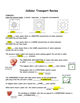 Cellular Transport Review