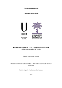 Universidade De Lisboa Faculdade De Farmácia Assessment of the Role Of