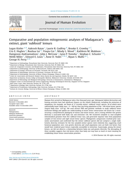 Subfossil' Lemurs