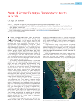 Status of Greater Flamingos Phoenicopterus Roseus in Kerala