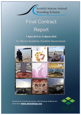 Final Contract Report