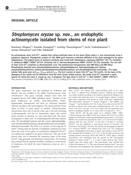 Streptomyces Oryzae Sp. Nov., an Endophytic Actinomycete Isolated from Stems of Rice Plant