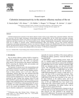 Calretinin Immunoreactivity in the Anterior Olfactory Nucleus of the Rat E