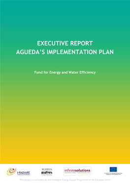 Executive Report Agueda's