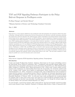 TNF and FGF Signaling Pathways Participate in the Polyp Bail-Out