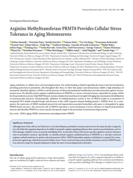 Arginine Methyltransferase PRMT8 Provides Cellular Stress Tolerance in Aging Motoneurons