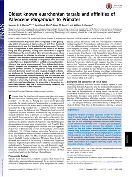 Oldest Known Euarchontan Tarsals and Affinities of Paleocene Purgatorius to Primates