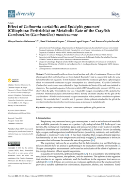 (Ciliophora: Peritrichia) on Metabolic Rate of the Crayfish