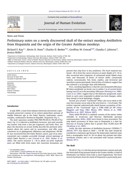 Preliminary Notes on a Newly Discovered Skull of the Extinct Monkey Antillothrix from Hispaniola and the Origin of the Greater Antillean Monkeys