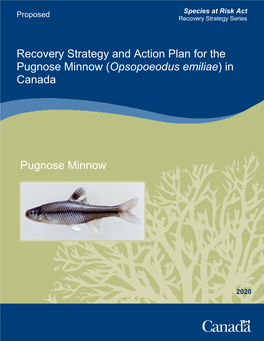 Proposed Recovery Strategy and Action Plan for The