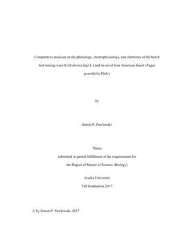 (Orchestes Fagi L.) and Its Novel Host American Beech (Fagus