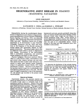 Degenerative Joint Disease in Praomys (Mastomys)