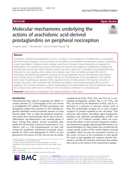 Molecular Mechanisms Underlying the Actions of Arachidonic Acid-Derived