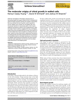 The Molecular Origins of Chiral Growth in Walled Cells