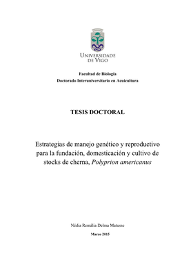 Estrategias De Manejo Genético Y Reproductivo Para La Fundación, Domesticación Y Cultivo De Stocks De Cherna, Polyprion Americanus