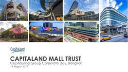 Capitaland Corporate Presentation Template 2019 W Dividers