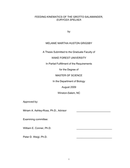 Feeding Kinematics of the Grotto Salamander, Eurycea Spelaea