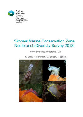 Skomer Marine Conservation Zone Nudibranch Diversity Survey 2018