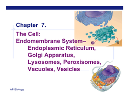 The Cell Endomembrane System.Pdf